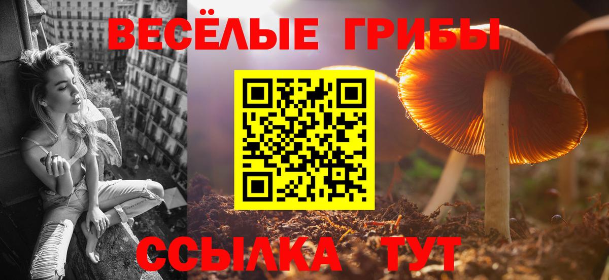 Псилоцибиновые грибы Magic Shrooms  Вход с VPN  Дагестанские Огни  Галлюциногенные грибы Magic Shrooms 
